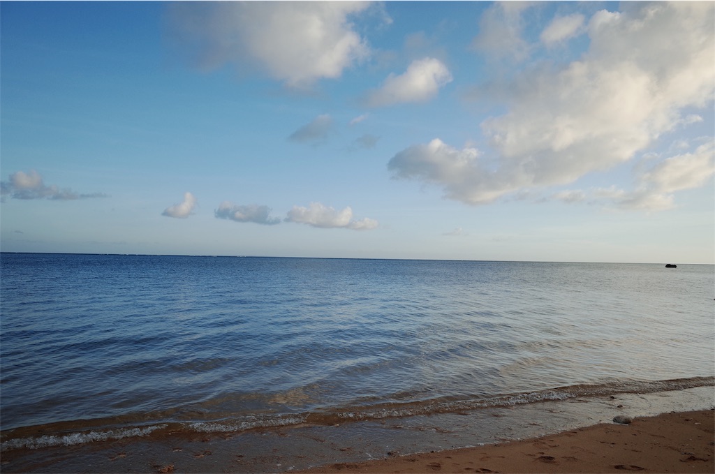 f:id:penguin_tulip:20190310224037j:image