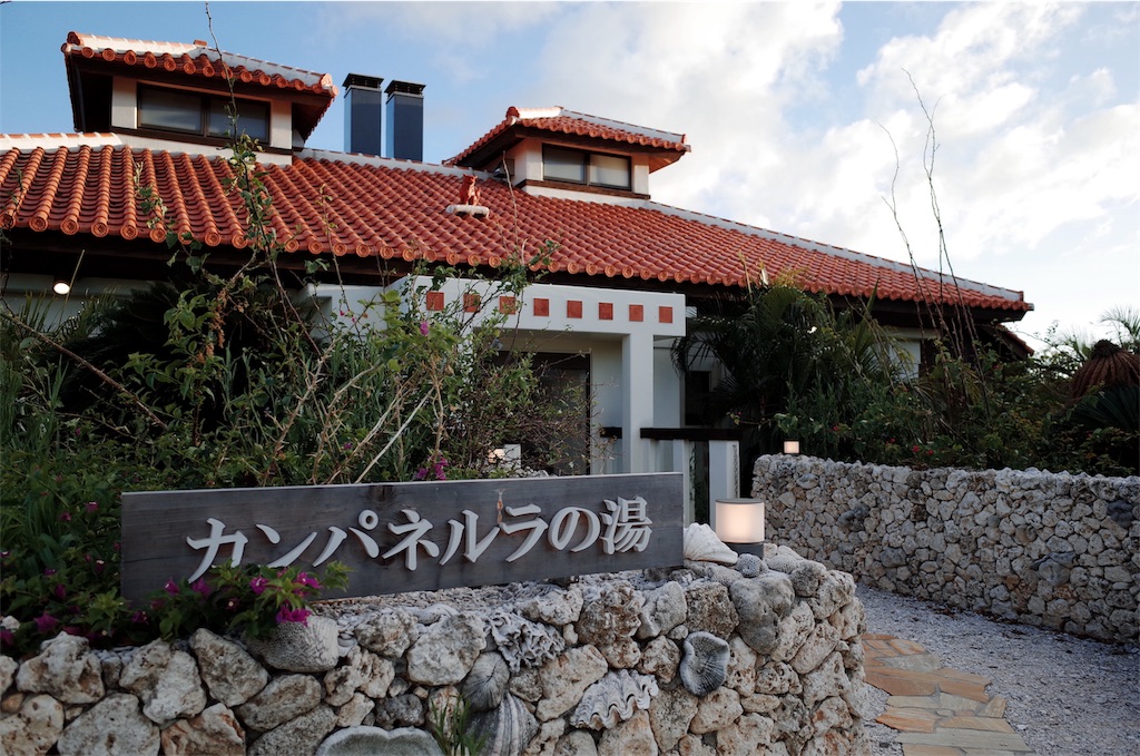f:id:penguin_tulip:20190310224212j:image