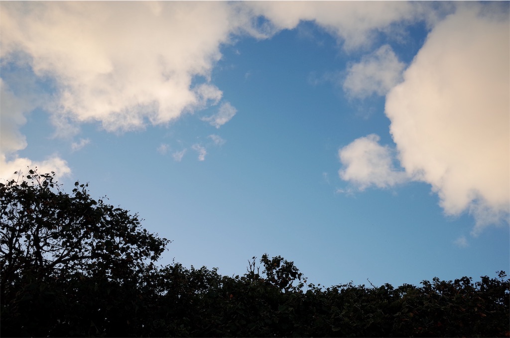 f:id:penguin_tulip:20190310225059j:image