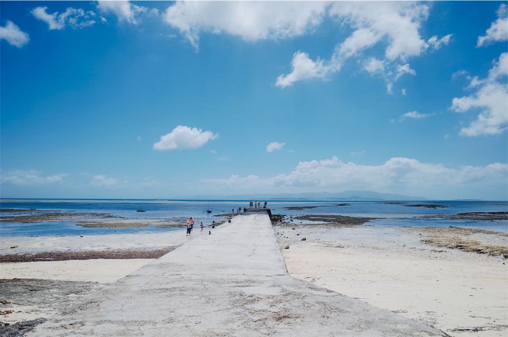 f:id:penguin_tulip:20190311221910j:image