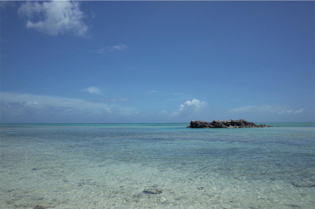f:id:penguin_tulip:20190311221937j:image