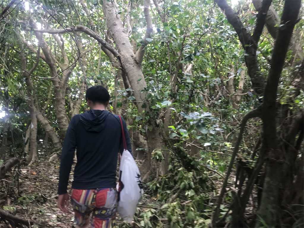 f:id:penguin_tulip:20190311222811j:image