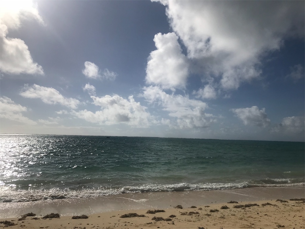 f:id:penguin_tulip:20190311222840j:image