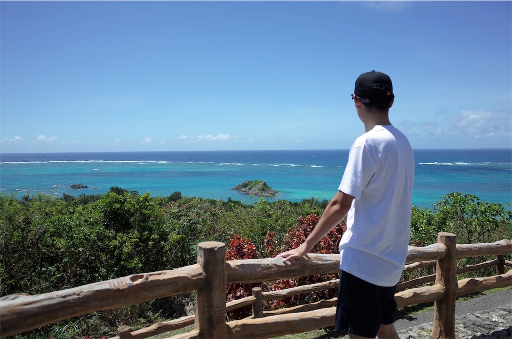 f:id:penguin_tulip:20190311222914j:image