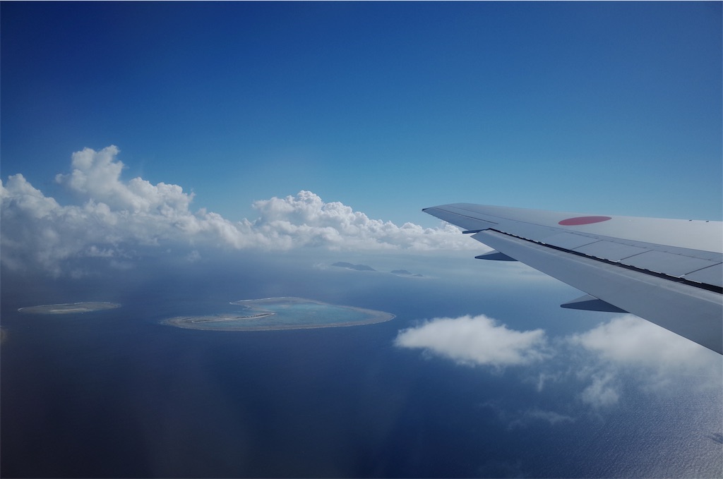 f:id:penguin_tulip:20190311222955j:image