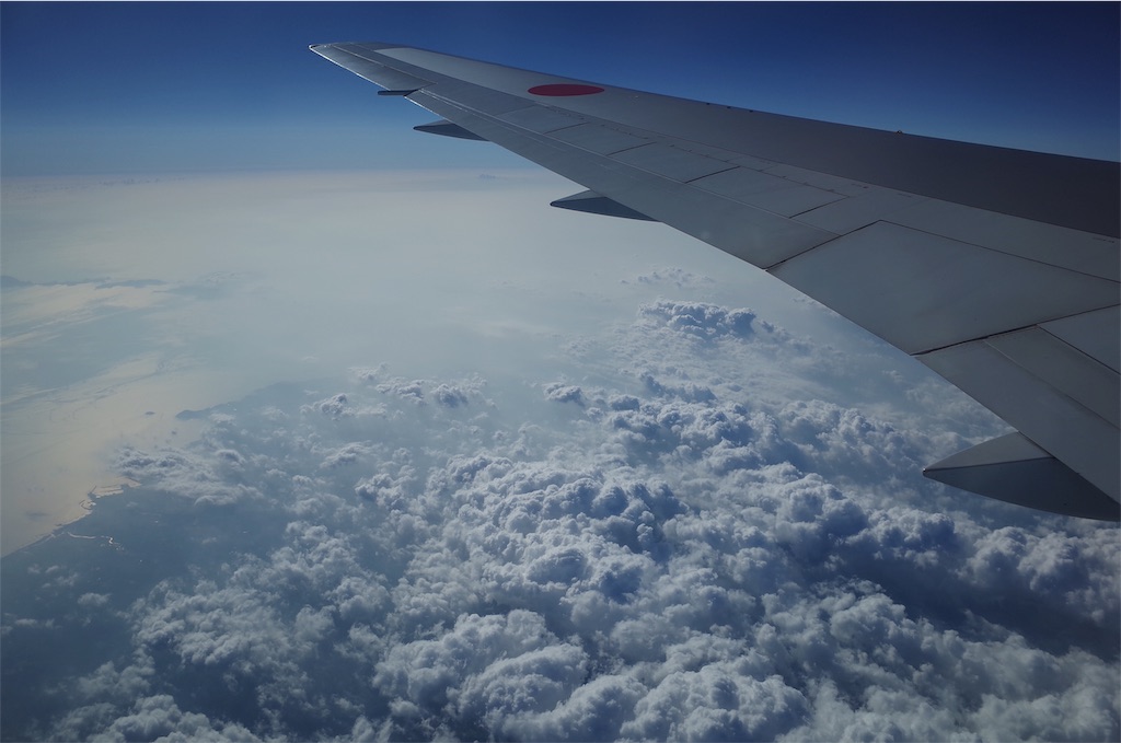 f:id:penguin_tulip:20190311223037j:image