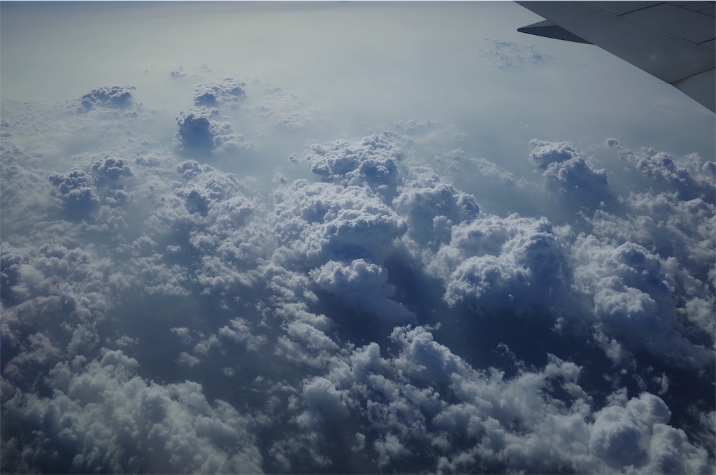 f:id:penguin_tulip:20190311223106j:image