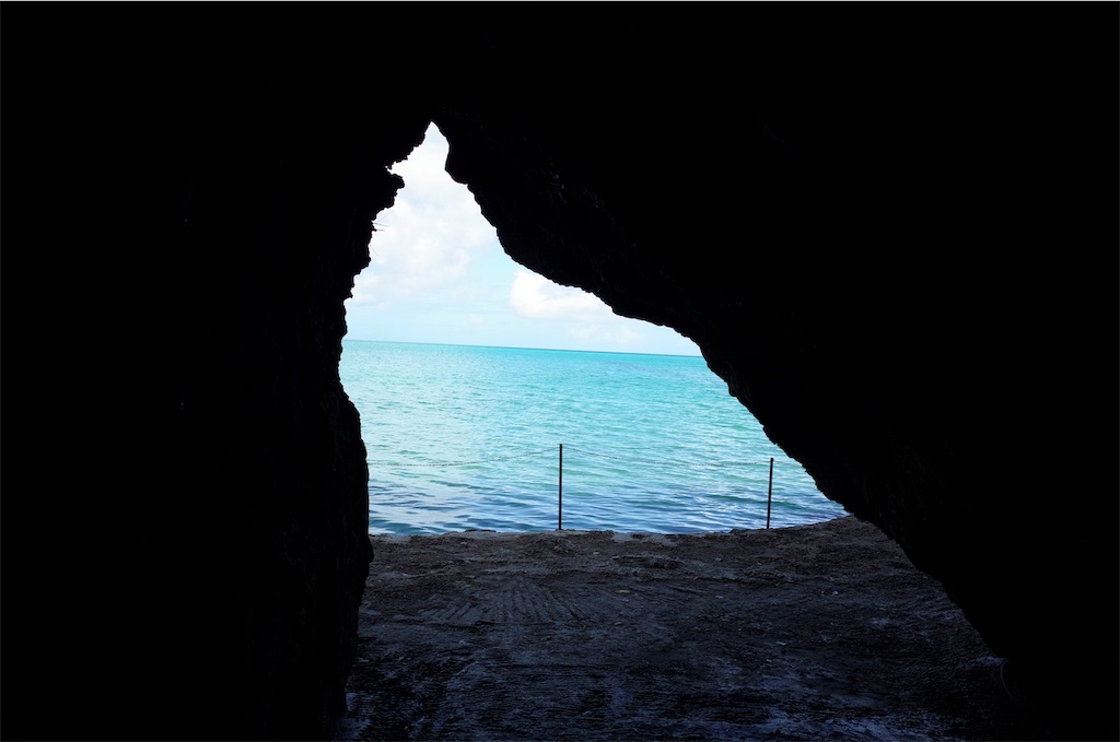 f:id:penguin_tulip:20190311223141j:image