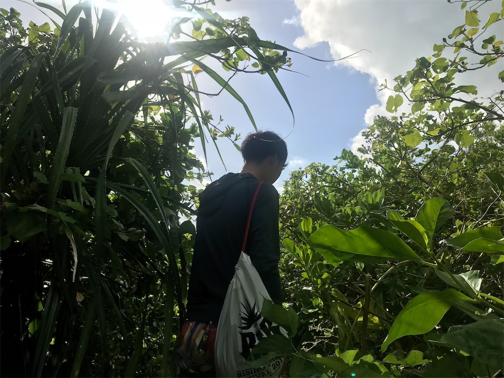 f:id:penguin_tulip:20190311223218j:image