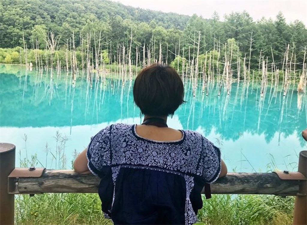 f:id:penguin_tulip:20190419140515j:image