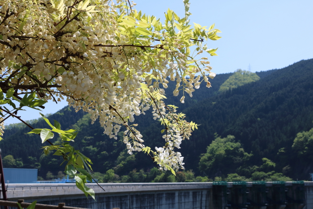 f:id:peni_fes:20180429122214j:plain