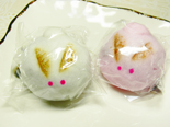 f:id:penid:20110108182547j:image:right f:id:penid:20110108182547j:image:right