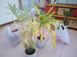 f:id:penid:20110120161953j:image:right f:id:penid:20110120161953j:image:right
