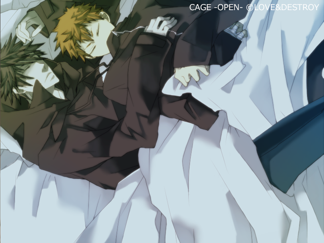 BLゲーム CAGE OPEN 始めたよ＆新田高志 ネタバレ感想 - 腐ったゲーム箱