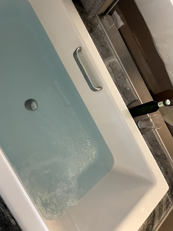 f:id:pennebasil:20210504113930j:plain