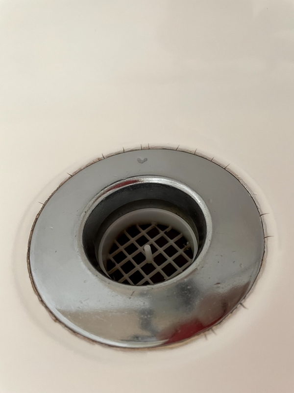 f:id:pennebasil:20210929121209j:plain