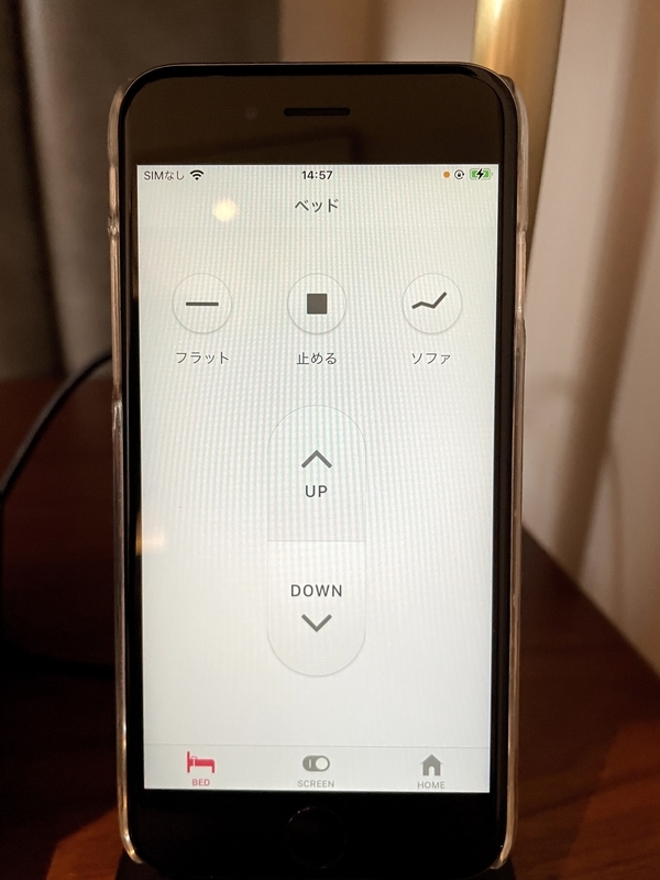 f:id:pennebasil:20211107174720j:plain