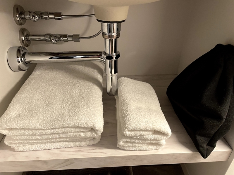 f:id:pennebasil:20211107174819j:plain