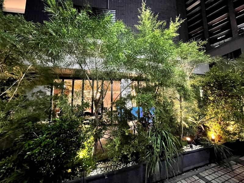 f:id:pennebasil:20211107175826j:plain