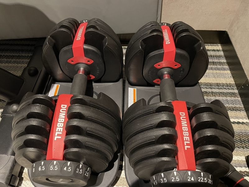 f:id:pennebasil:20211112182054j:plain