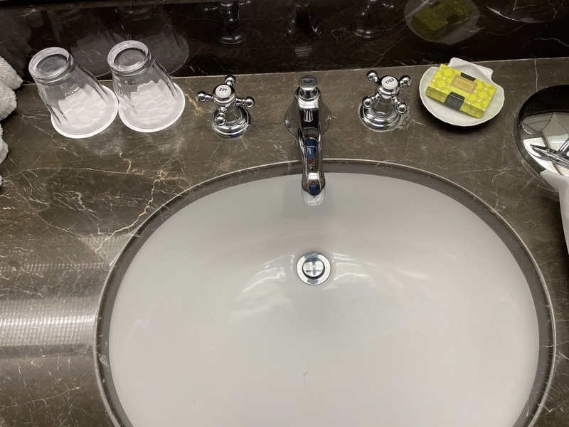 f:id:pennebasil:20211231162145j:plain