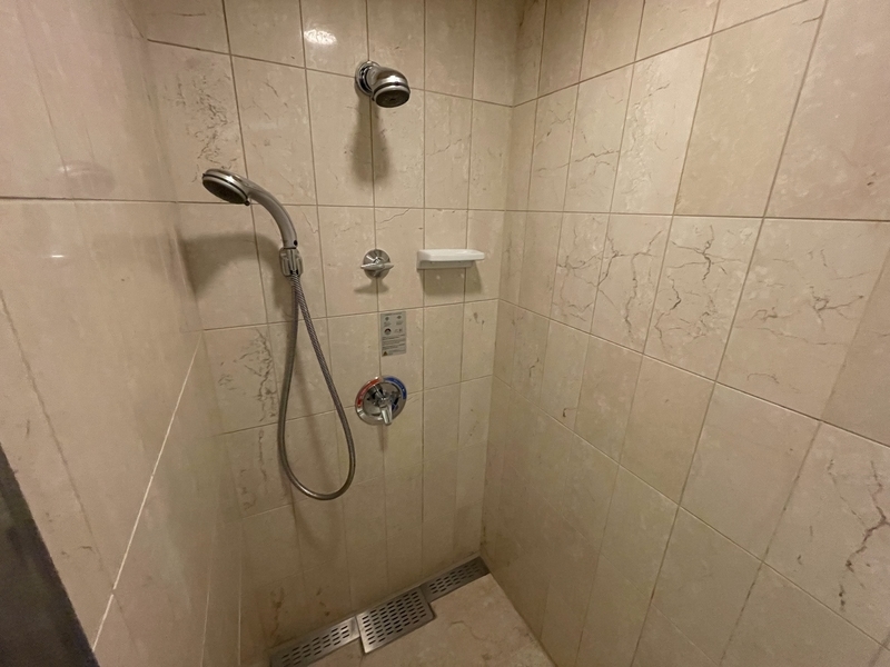 f:id:pennebasil:20211231162203j:plain