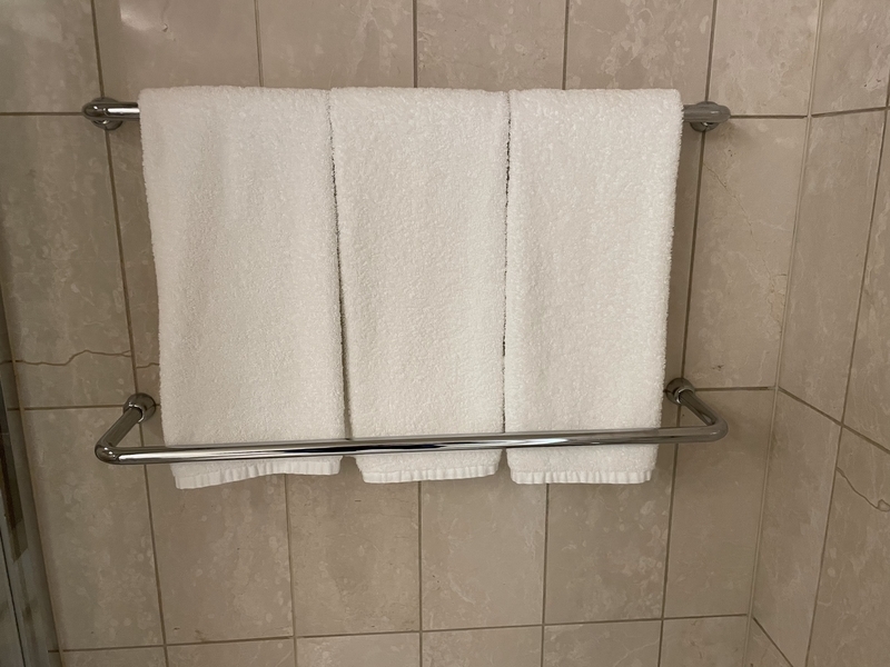 f:id:pennebasil:20211231162309j:plain