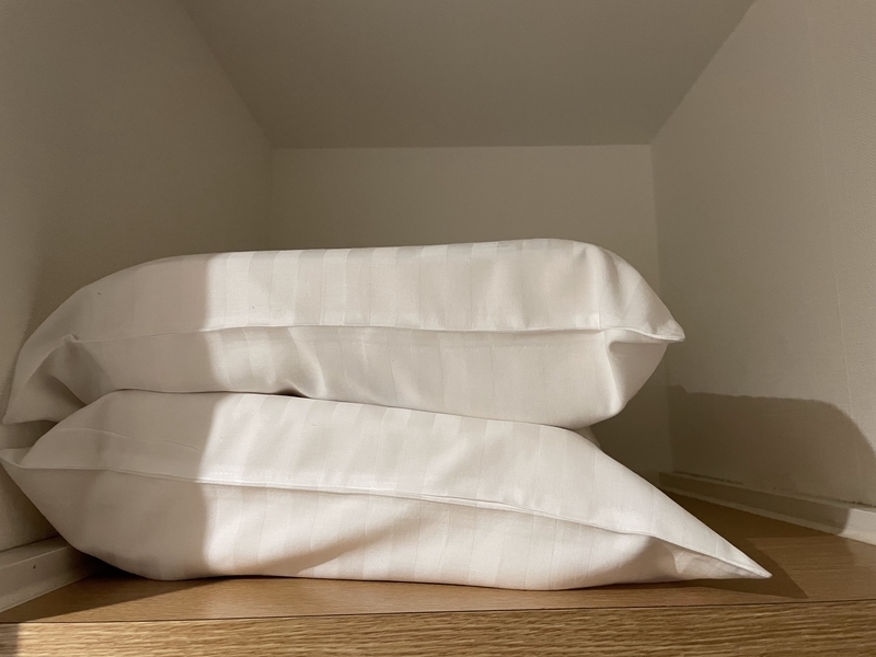 f:id:pennebasil:20220206113519j:plain