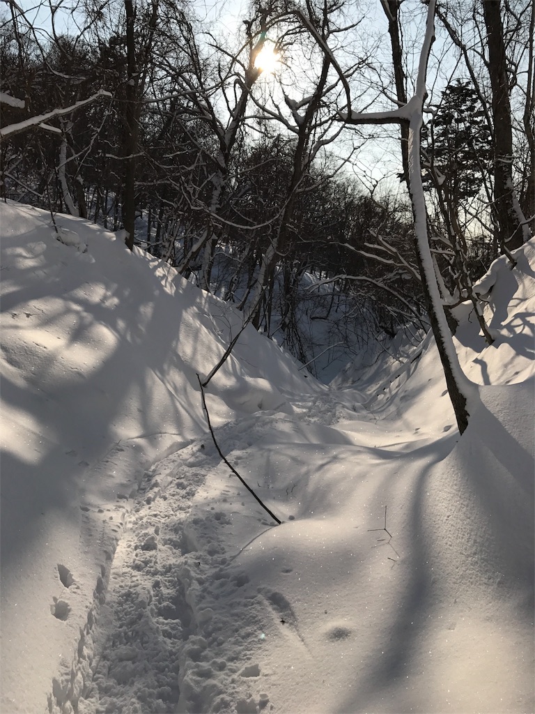 f:id:pennennolde:20170123102813j:image