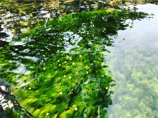 f:id:pennennolde:20170713144315j:image