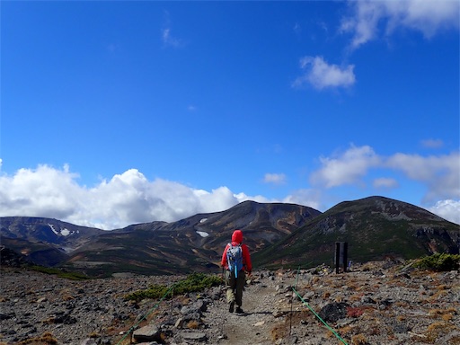 f:id:pennennolde:20181229152219j:image