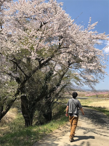 f:id:pennennolde:20190422125830j:image