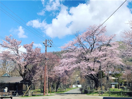 f:id:pennennolde:20190508135822j:image f:id:pennennolde:20190508135822j:image