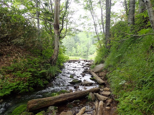 f:id:pennennolde:20190818210640j:image