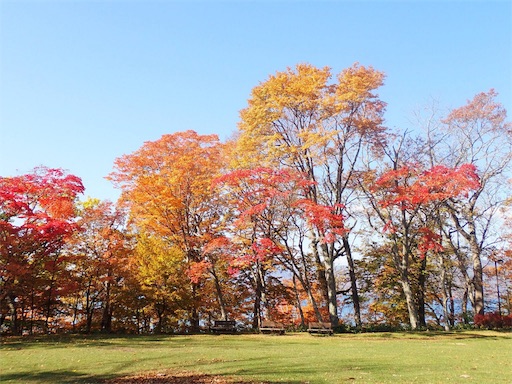 f:id:pennennolde:20191028160758j:image