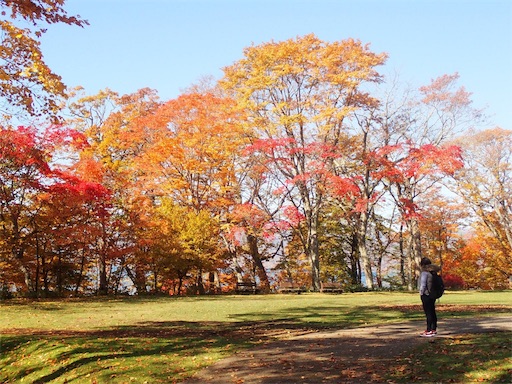 f:id:pennennolde:20191028160833j:image