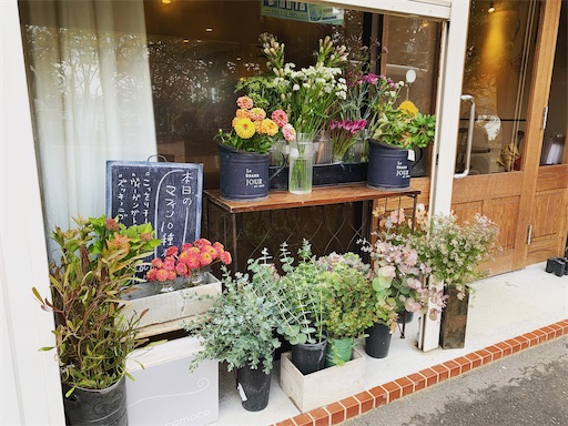 f:id:pennennolde:20221129222921j:image