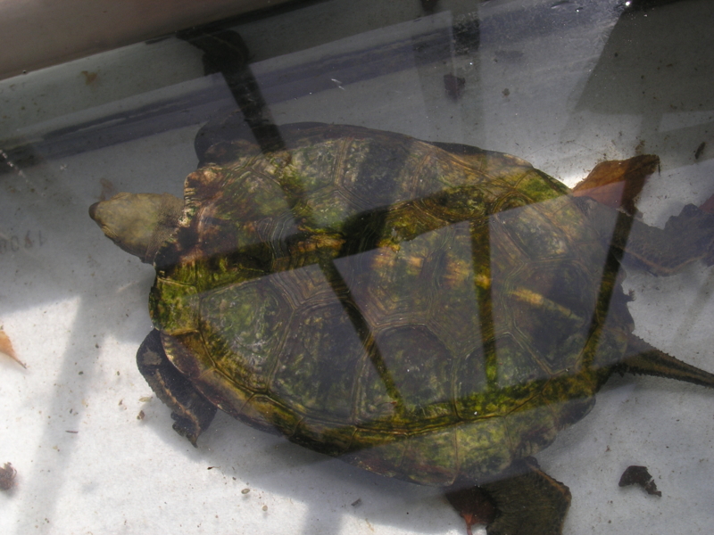 f:id:pennypocket:20140312230739j:image:w450 f:id:pennypocket:20140312230739j:image:w450