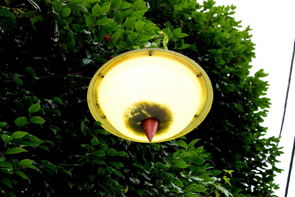 f:id:penpen-0704:20110806041826j:image:w640