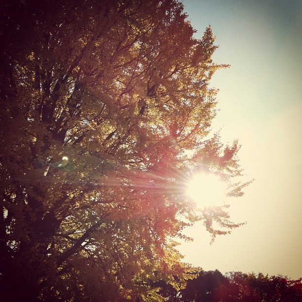 f:id:penpen-0704:20111211233222j:image