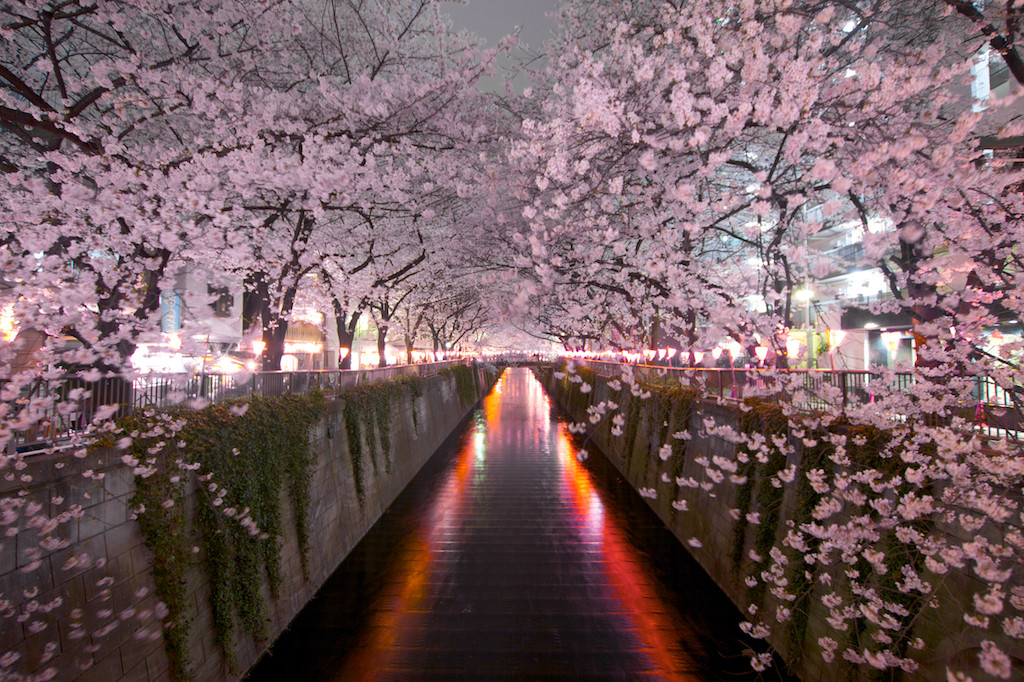 f:id:penpen-0704:20140508210520j:plain