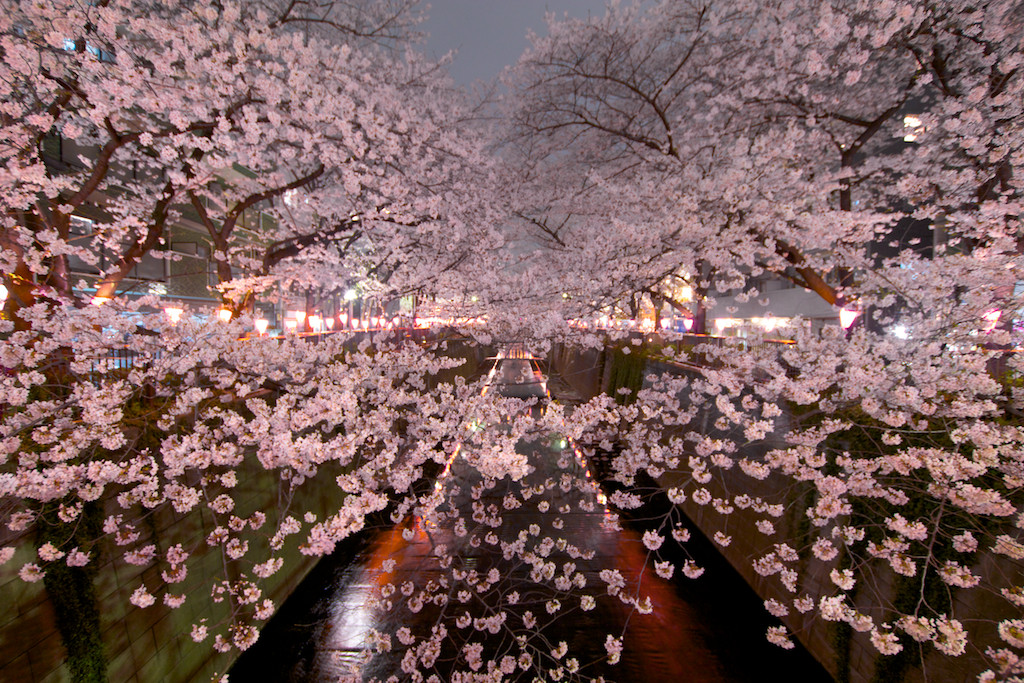 f:id:penpen-0704:20140508210528j:plain