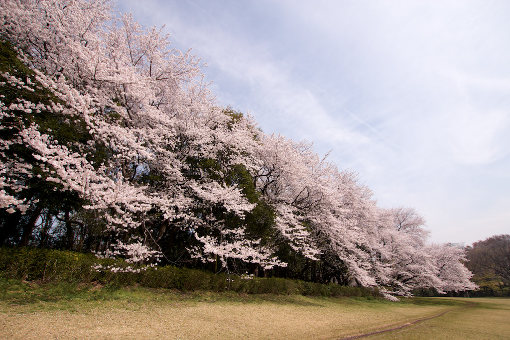 f:id:penpen-0704:20140508210610j:plain