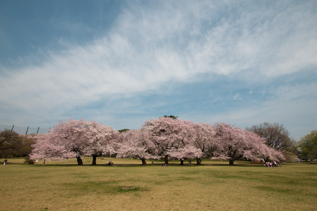 f:id:penpen-0704:20140508210628j:plain