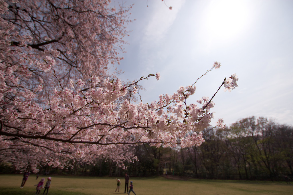 f:id:penpen-0704:20140508210635j:plain
