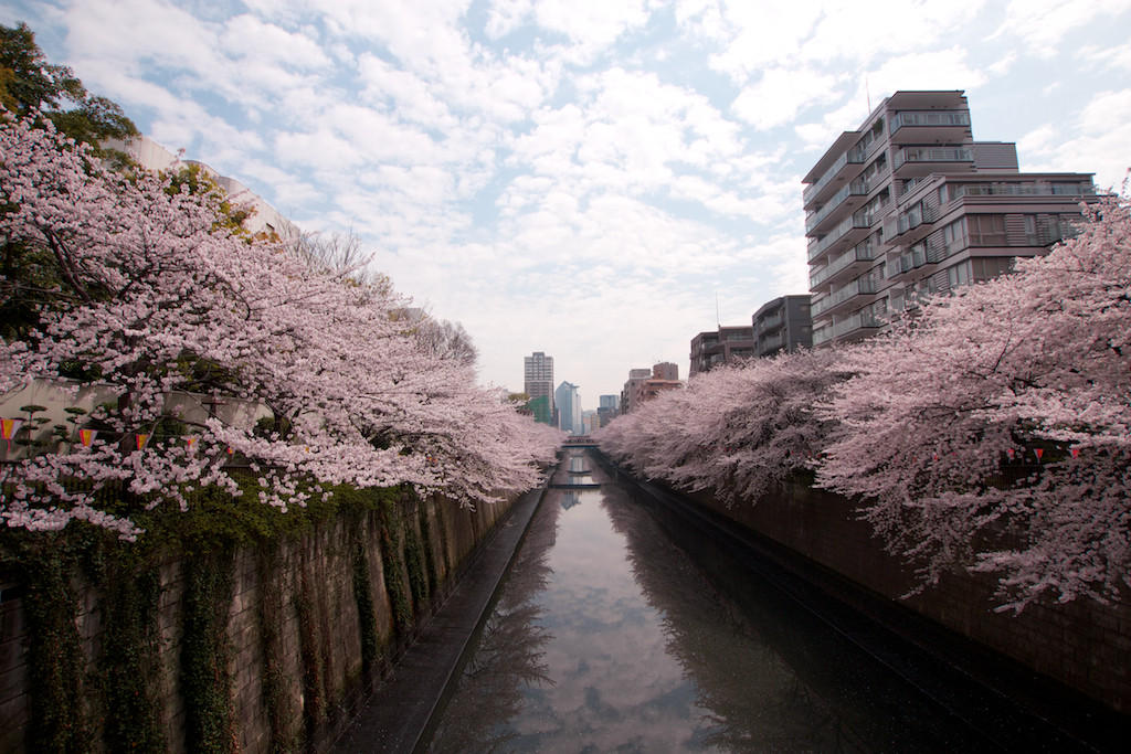 f:id:penpen-0704:20140508210742j:plain