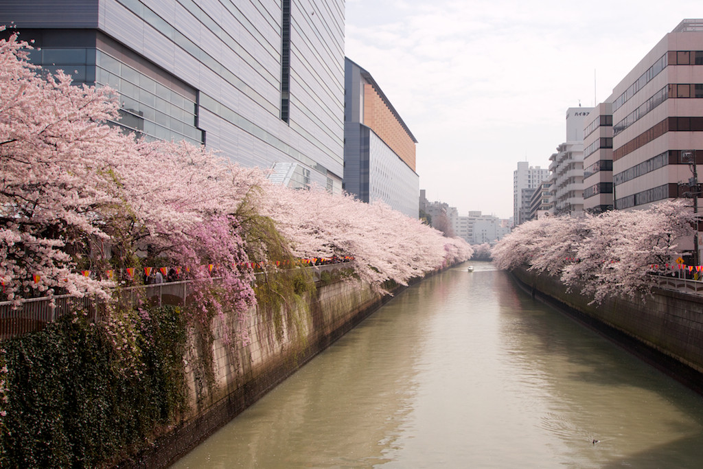 f:id:penpen-0704:20140508210752j:plain