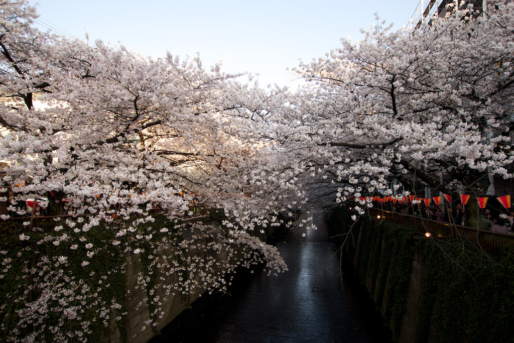 f:id:penpen-0704:20140508211121j:plain