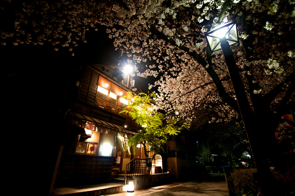 f:id:penpen-0704:20140508211144j:plain