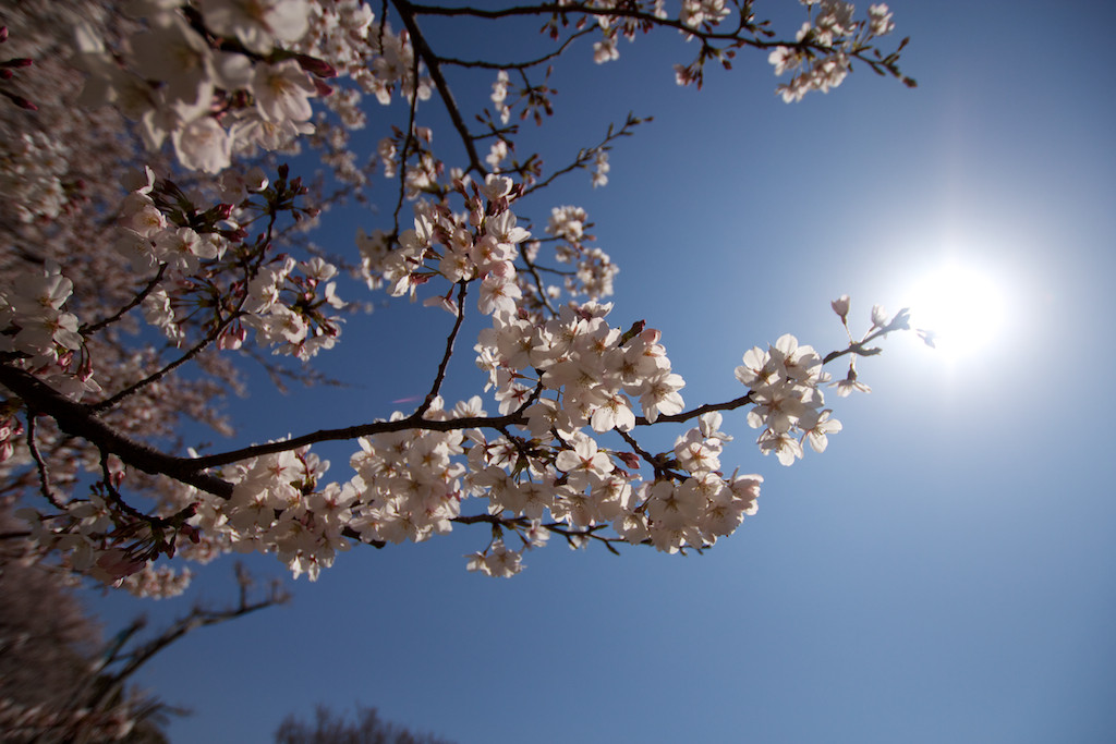 f:id:penpen-0704:20140508211213j:plain